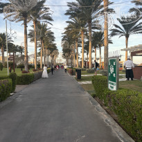 фото из отзыва ID 2739067