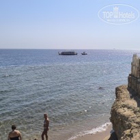 фото из отзыва ID 2739069