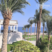 фото из отзыва ID 2739069