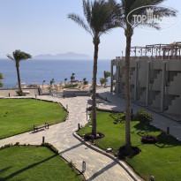 фото из отзыва ID 2739069