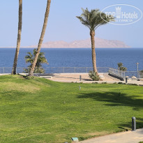 фото из отзыва ID 2739069