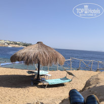 фото из отзыва ID 2739069