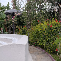 фото из отзыва ID 2739027