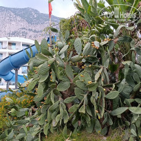 фото из отзыва ID 2739027