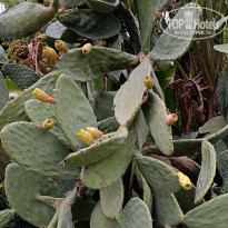 фото из отзыва ID 2739027