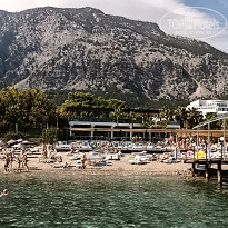 фото из отзыва ID 2739027