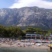 фото из отзыва ID 2739027