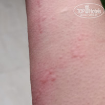 фото из отзыва ID 2739027