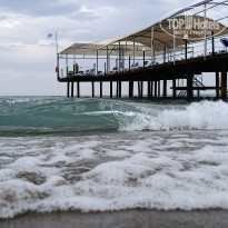 фото из отзыва ID 2739027