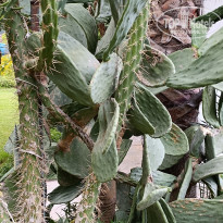 фото из отзыва ID 2739027