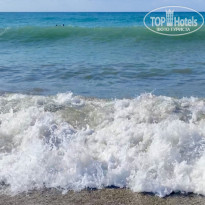 фото из отзыва ID 2739072