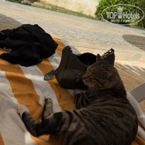 фото из отзыва ID 2739076