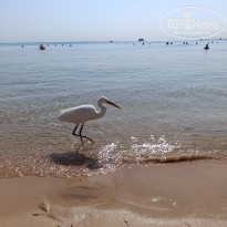 фото из отзыва ID 2738813