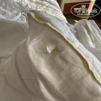 фото из отзыва ID 2739084