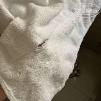 фото из отзыва ID 2739084