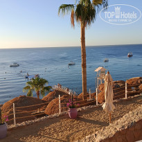 фото из отзыва ID 2739098