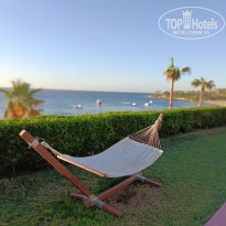 фото из отзыва ID 2739098