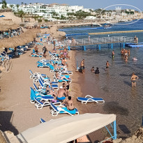 фото из отзыва ID 2739098