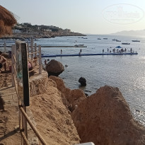 фото из отзыва ID 2739098