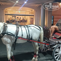 фото из отзыва ID 2739098