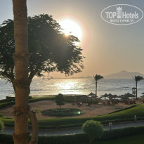 фото из отзыва ID 2739111