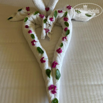 фото из отзыва ID 2739111