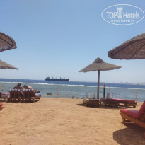 фото из отзыва ID 2739111