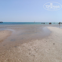 фото из отзыва ID 2739112