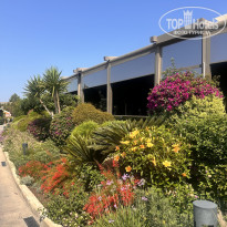 фото из отзыва ID 2739119