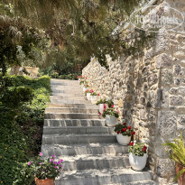 фото из отзыва ID 2739119