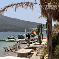 фото из отзыва ID 2739119