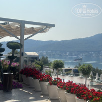 фото из отзыва ID 2739119