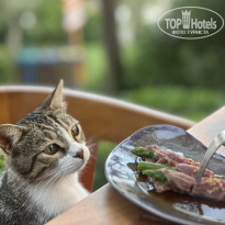 фото из отзыва ID 2739119