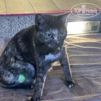 фото из отзыва ID 2739123