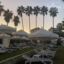 фото из отзыва ID 2739134