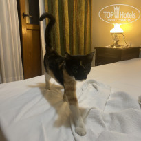 фото из отзыва ID 2739134