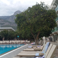 фото из отзыва ID 2739139