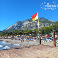 фото из отзыва ID 2739139