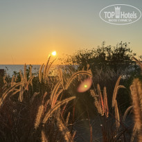 фото из отзыва ID 2739144