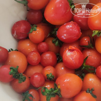 фото из отзыва ID 2739178