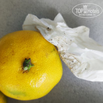 фото из отзыва ID 2739178