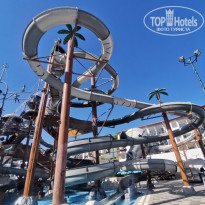 фото из отзыва ID 2739170