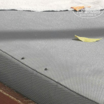 фото из отзыва ID 2739170