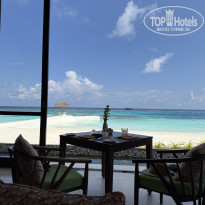 фото из отзыва ID 2739185