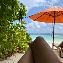 фото из отзыва ID 2739185