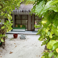 фото из отзыва ID 2739185