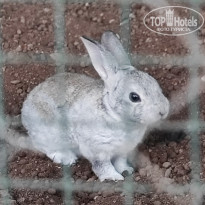 фото из отзыва ID 2739192