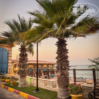 фото из отзыва ID 2739195