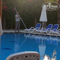 фото из отзыва ID 2739027