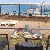 фото из отзыва ID 2739027